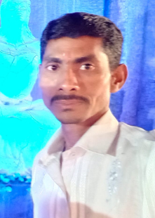 MAMB6413