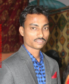 Narendra Mestri